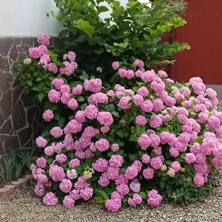 Le Vie Del Castello Bed & Breakfast 3*